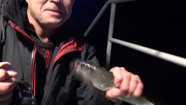 291114 Trailer смотреть онлайн