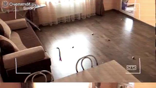 Когда котёнок остаётся в одиночестве смотреть онлайн