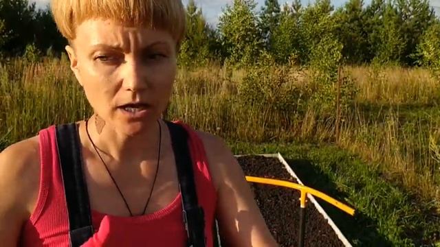 Сидераты помогают сохранить и улучшить плодородие почвы. смотреть онлайн