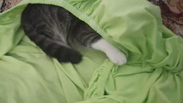 Помощник по хозяйству. Складываем простынь. смотреть онлайн