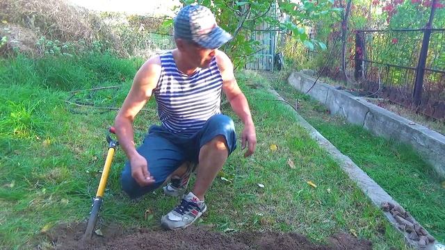 5 Вырос камушек но маленький (1).mp4 смотреть онлайн