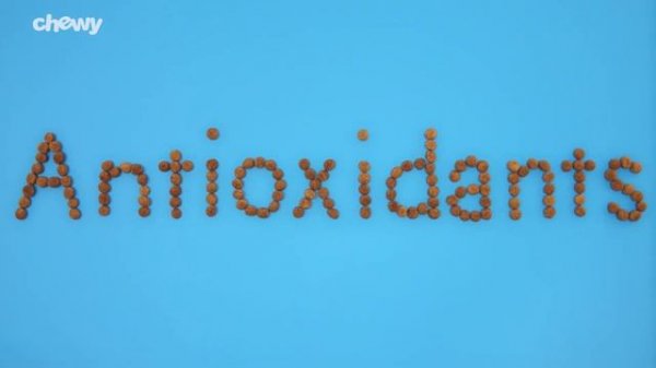 Purina Pro Plan Veterinary Diets DRM Dermatologic Management Naturals Formula Dog Food | Chewy