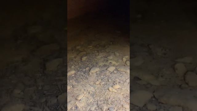 Одесса. Катакомбы. Часть 2 Подземное озеро. смотреть онлайн