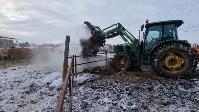 НАЧАЛО ЗИМОВКИ СТЕЛЬНЫХ КОРОВ. Налаживаем работу в Мороз... смотреть онлайн