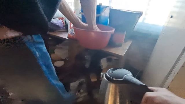 ЗАВТРА ПОЙДЁМ К ТЕРАПЕВТУ !!! БОЛЕЗНЬ НЕ ОТСТУПАЕТ ? ПЕЛЬМЕНИ ДЛЯ СОБАЧКИ смотреть онлайн