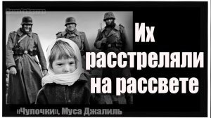 ИХ РАССТРЕЛЯЛИ НА РАССВЕТЕ . Читает Диана Сибирская #22июня #Стих_до_Слез. #МусаДжалиль.