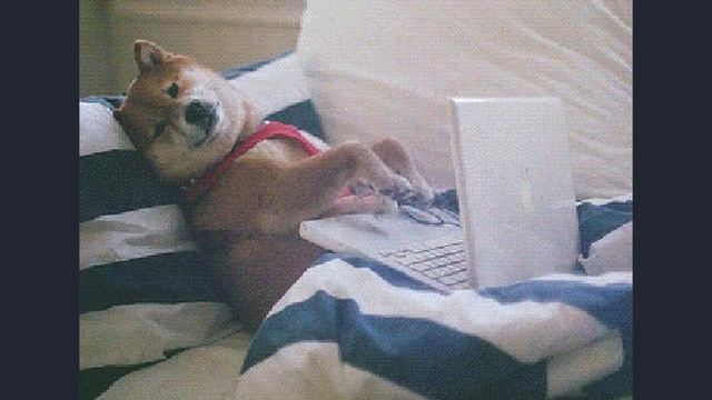 JVM, JRE và JDK Trong Java: Bạn Biết Chọn Cái Nào Chưa? | Code Thu смотреть онлайн