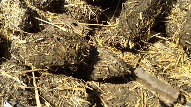 ПЕРЕПЕЛИНЫЙ НАВОЗ БУДУ ИСПОЛЬЗОВАТЬ КАК * БИО* ТОПЛИВО. смотреть онлайн