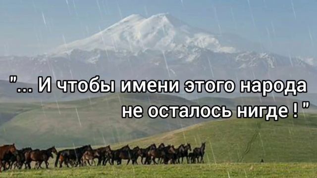 Знаменитой Карачаевской породе лошадей посвящается! смотреть онлайн