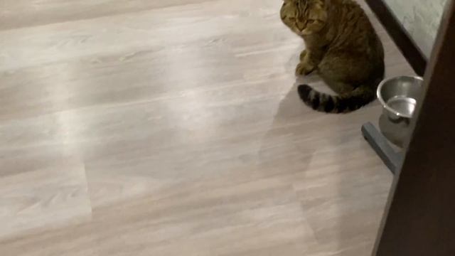 что творят ДЕТКИ за спиной у ПАПЫ пока он НЕ ВИДИТ смотреть онлайн