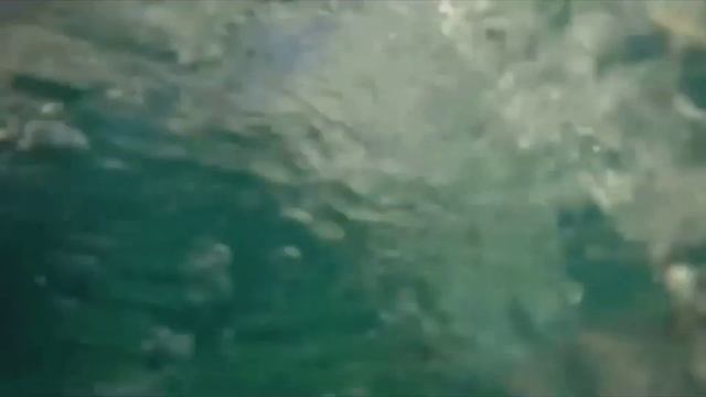 Щитовидная железа. Настрой Сытина.