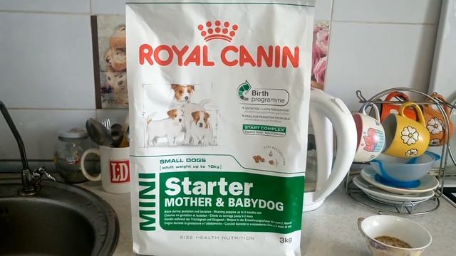 Первый прикорм щенка смотреть онлайн