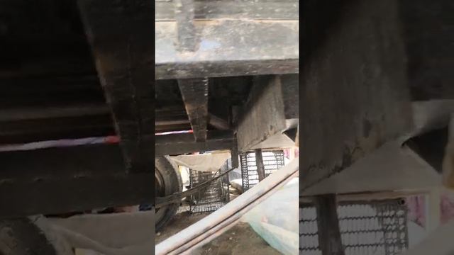 Морс | Бизнес | Өзбекстан смотреть онлайн