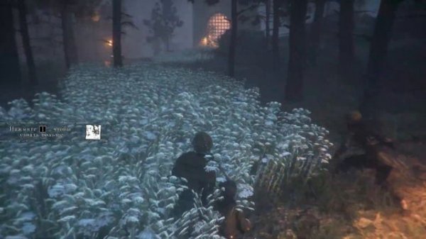 A Plague Tale: Innocence Все коллекционные предметы