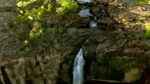 Самые известные крокодилы людоеды