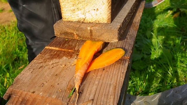 Морковь да бензопилой смотреть онлайн