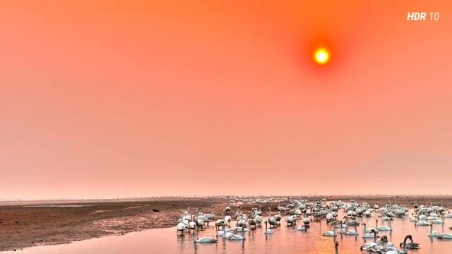 HUAWEI Mate 10 HDR смотреть онлайн