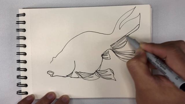 Continuous Line Drawing - Fish смотреть онлайн