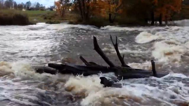 каскад Vahiküla на реке Вяэна смотреть онлайн