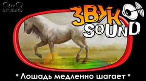 Лошадь медленно шагает, ЗВУК шагающего коня / Horse walks slowly FX