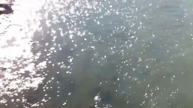 ВИД С МОСТА НА СУНЖУ В ГРОЗНОМ. смотреть онлайн