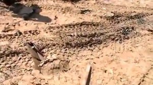 Грузинский якорь для лебедки