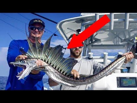 Он поймал самую РЕДКУЮ рыбу на планете, Вы Должны Это Видеть! смотреть онлайн