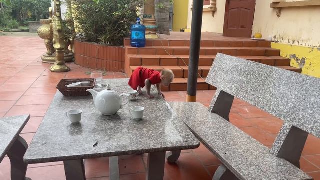 Baby Monkey Abi Was Angry With His Mother When He Was Left Home Alone