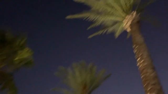 VLOG 15 NUSRET BODRUM, Yalikavak - We met Nusret!!! SALTBAE смотреть онлайн