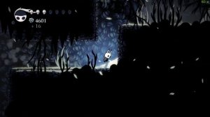 ПОИСК ГУСЕНИЧЕК ► HOLLOW KNIGHT