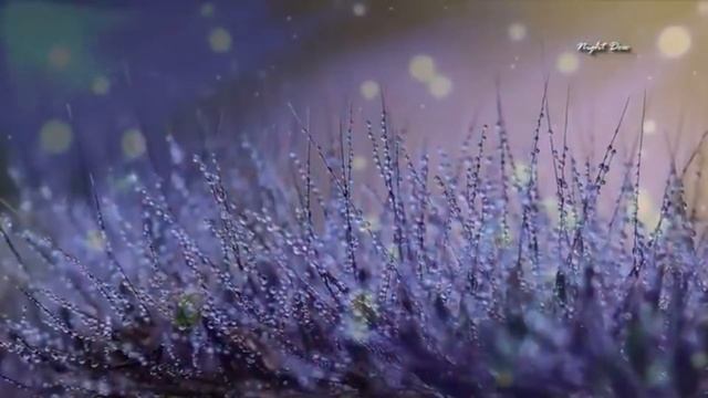 Не обижайтесь, если я молчу... смотреть онлайн