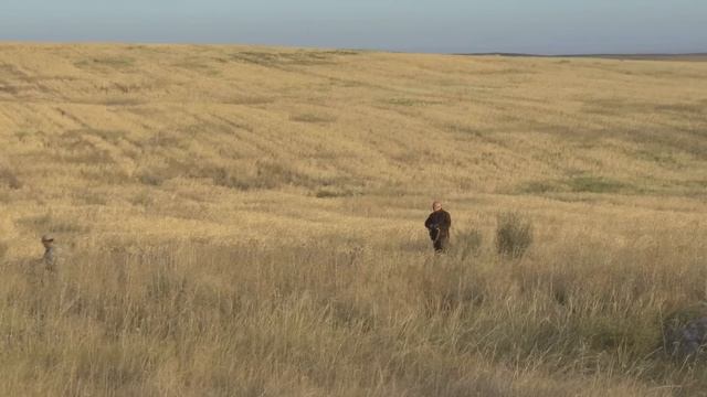 косуля отстрел смотреть онлайн