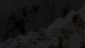 Размещение комнатных растений
