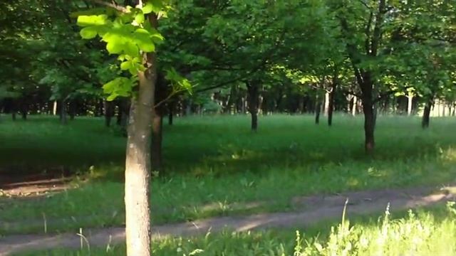 ПАРК "ПОБЕДЫ"Г.ЛОЗОВАЯ-ПРОСТО КРАСОТА! смотреть онлайн