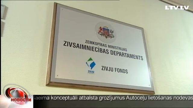 Куда пропала треска? смотреть онлайн