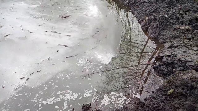 Склон Дамбы! Уклон!!! Pond construction video! Fishing, carp video! смотреть онлайн