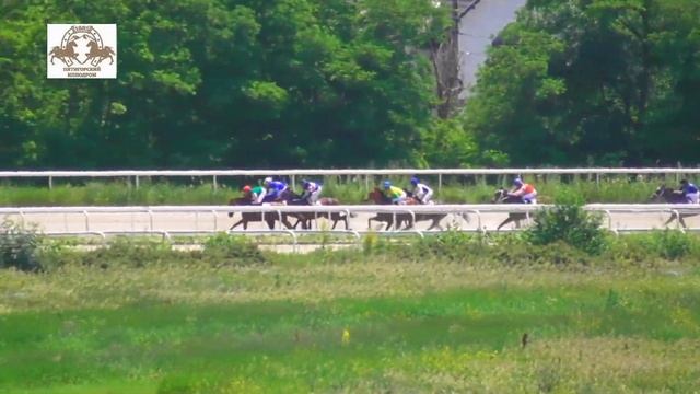 20.06.2021 - 1 Скачка на лошадях 2-х лет чистокровной верховой породы - Фортуна Голд смотреть онлайн