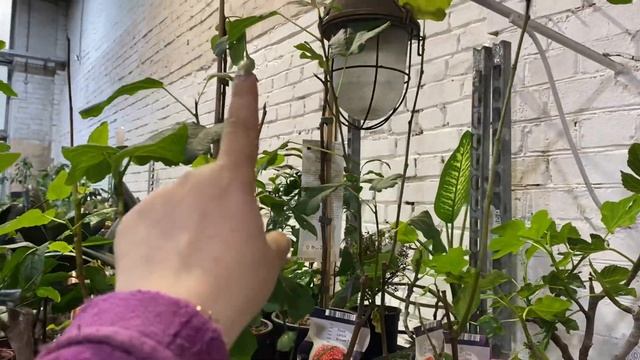 Обзор 31 мая часть 2 смотреть онлайн