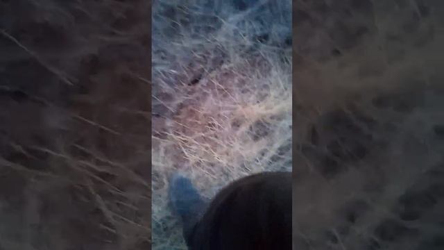 DETECH EDS PLUS 2 / METEOR LITE KARŞILAŞTIRMA