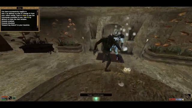 ES Morrowind Multiplayer Modded Ep 8: Fighting Demons смотреть онлайн