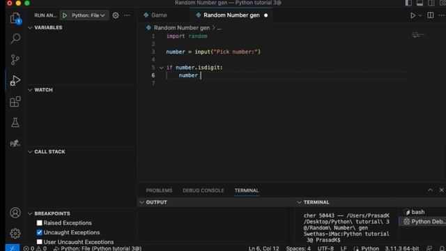 Python random number generator(For beginners ) смотреть онлайн