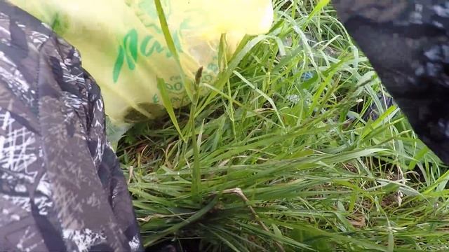 ОСОБИ ЗАГРЯЗНЯЮТ ВОДОЁМЫ!!! Кто оставляет ГОРЫ МУСОРА на берегах??!! Рыбалка на речке и озере. смотреть онлайн