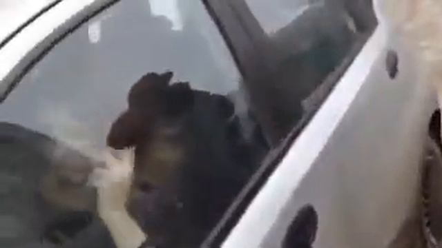 Девушка отъедьте .Прикол про бабу.Тупая баба! ржака .Смех!ПРИКОЛ! смотреть онлайн