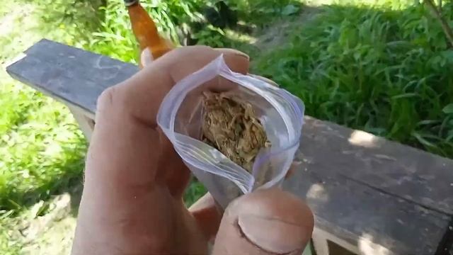 Нетфликс ? смотреть онлайн