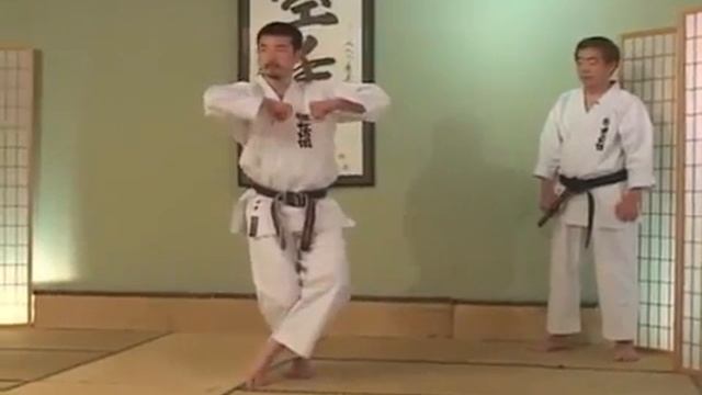 Tekki Nidan - Hirokazu Kanazawa _ Shotokan Karate смотреть онлайн