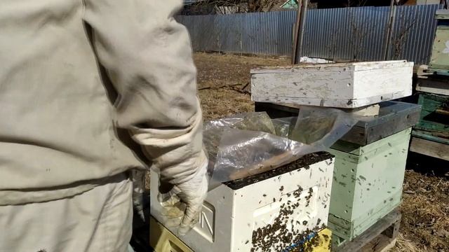 Пчеловодство - Первый осмотр 2023 смотреть онлайн