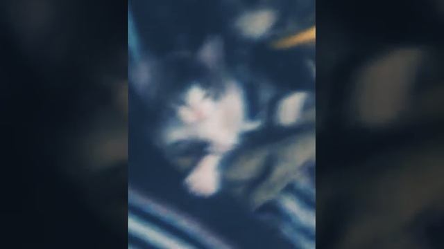 КАК МАМА ДЕРЁТСЯ С СЫНОМ смотреть онлайн