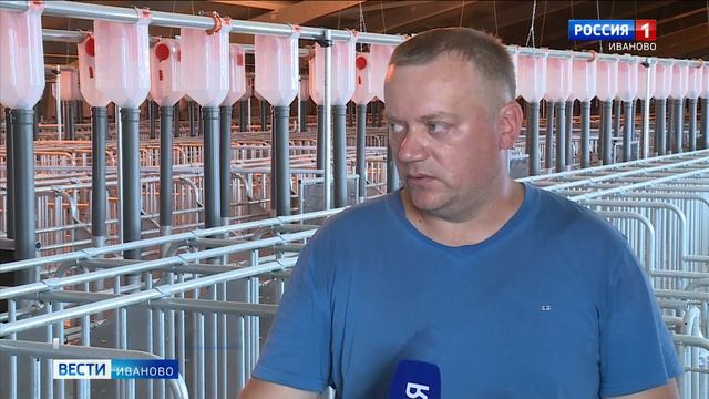 В Гаврилово-Посадском районе возвели большую часть корпусов нового свинокомплекса смотреть онлайн