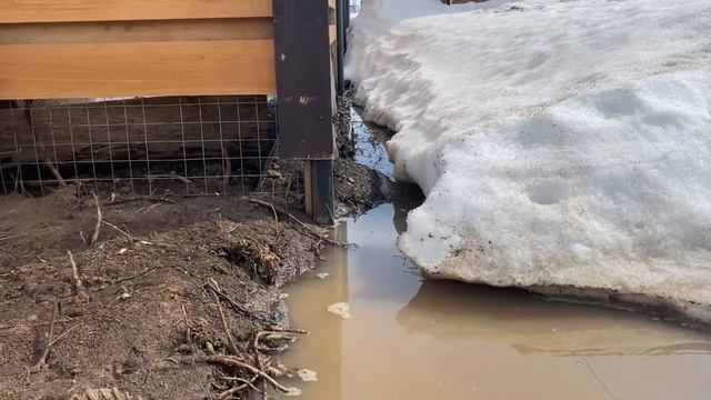 Наш участок топило ДВА года. Решили ли мы проблему? ПОКАЗЫВАЮ)) смотреть онлайн