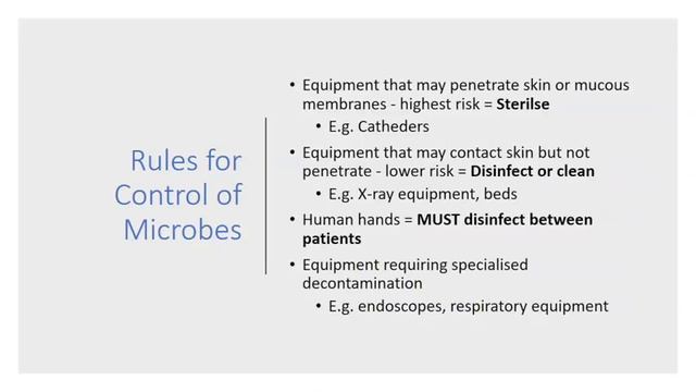 Year 1 Microbiology, Immunology & Neurophysiology Revision Lecture смотреть онлайн